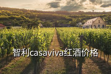 智利casaviva紅酒價(jià)格