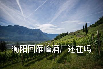 衡陽回雁峰酒廠還在嗎