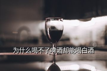 為什么喝不了啤酒卻能喝白酒