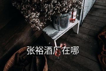 張?jiān)＞茝S在哪