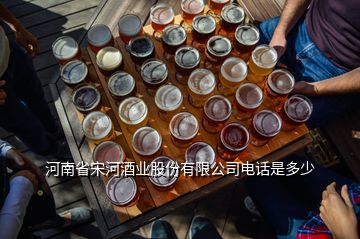 河南省宋河酒業(yè)股份有限公司電話是多少