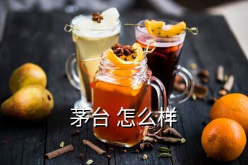 茅臺 怎么樣