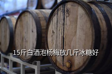 15斤白酒泡楊梅放幾斤冰糖好