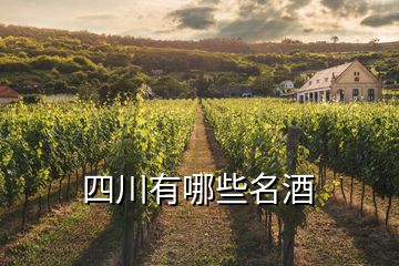 四川有哪些名酒