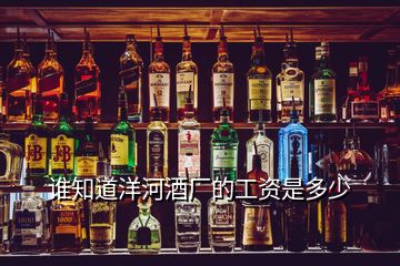 誰知道洋河酒廠的工資是多少