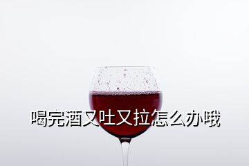 喝完酒又吐又拉怎么辦哦