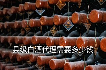 縣級(jí)白酒代理需要多少錢