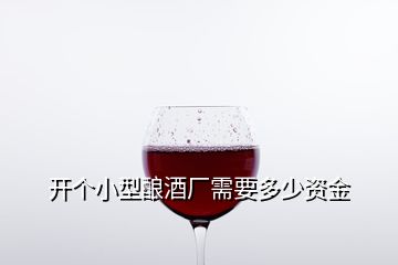 開個(gè)小型釀酒廠需要多少資金