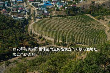 西安哪能買到質(zhì)量保證而且價格便宜的五糧液酒地址或者電話謝謝