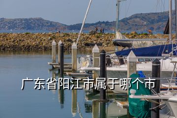 廣東省陽江市屬于哪個(gè)市