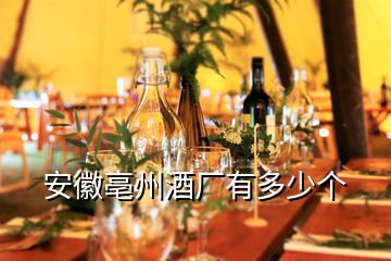 安徽亳州酒廠有多少個(gè)