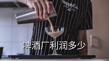 啤酒廠利潤(rùn)多少