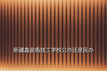 新疆鑫金盾技工學(xué)校公辦還是民辦