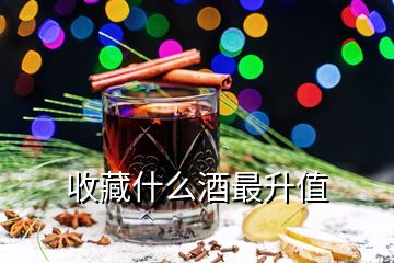 收藏什么酒最升值