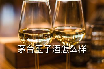 茅臺(tái)王子酒怎么樣