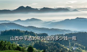 山西中孚酒30年53度的多少錢一瓶