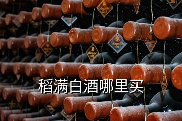 稻滿白酒哪里買