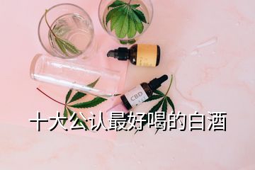 十大公認(rèn)最好喝的白酒