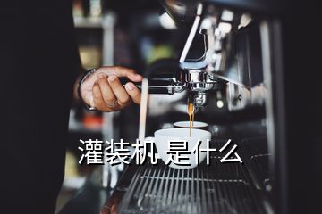 灌裝機(jī) 是什么