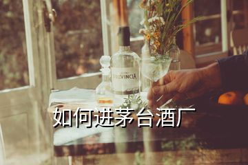 如何進(jìn)茅臺酒廠