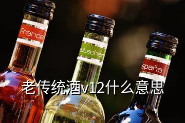 老傳統(tǒng)酒v12什么意思