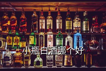 小瓶白酒哪個(gè)好