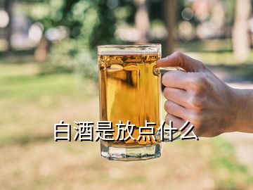 白酒是放點什么