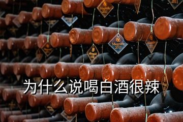 為什么說喝白酒很辣