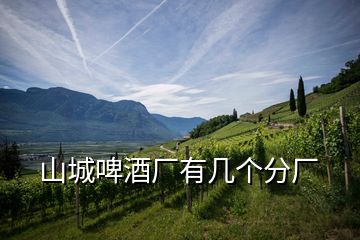 山城啤酒廠有幾個(gè)分廠