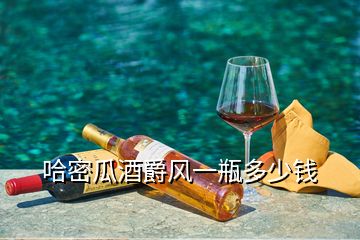 哈密瓜酒爵風(fēng)一瓶多少錢