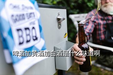 啤酒加黃酒加白酒是什么味道啊