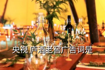 央視 廬酒老窖廣告詞是