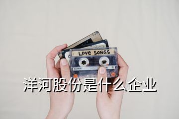 洋河股份是什么企業(yè)