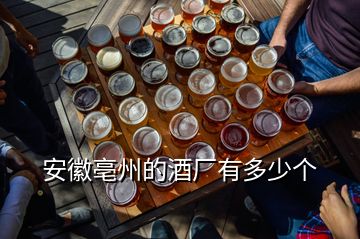 安徽亳州的酒廠有多少個