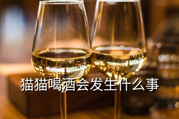 貓貓喝酒會(huì)發(fā)生什么事