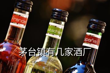 茅臺(tái)鎮(zhèn)有幾家酒廠