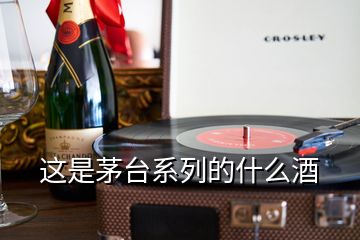 這是茅臺(tái)系列的什么酒