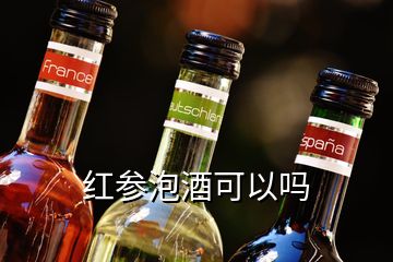 紅參泡酒可以嗎