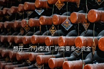 想開一個(gè)小型酒廠的需要多少資金