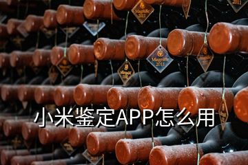 小米鑒定APP怎么用