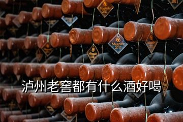 瀘州老窖都有什么酒好喝