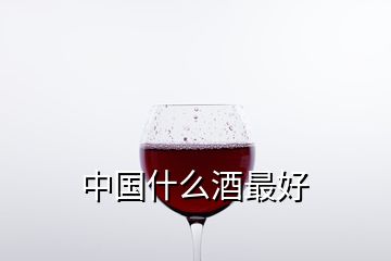 中國什么酒最好