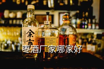 棗酒廠家哪家好