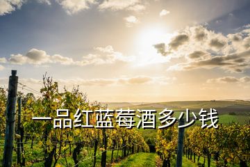 一品紅藍(lán)莓酒多少錢