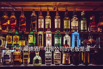 廣東順德酒廠有限公司的老板是誰(shuí)