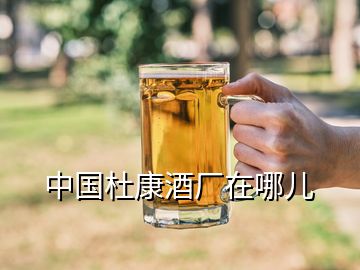 中國(guó)杜康酒廠在哪兒