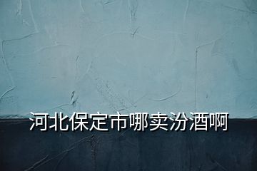 河北保定市哪賣汾酒啊