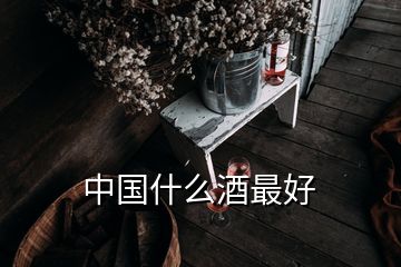 中國(guó)什么酒最好