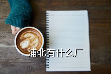 浦北有什么廠