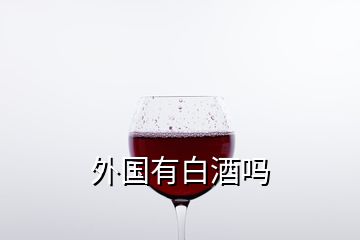 外國(guó)有白酒嗎